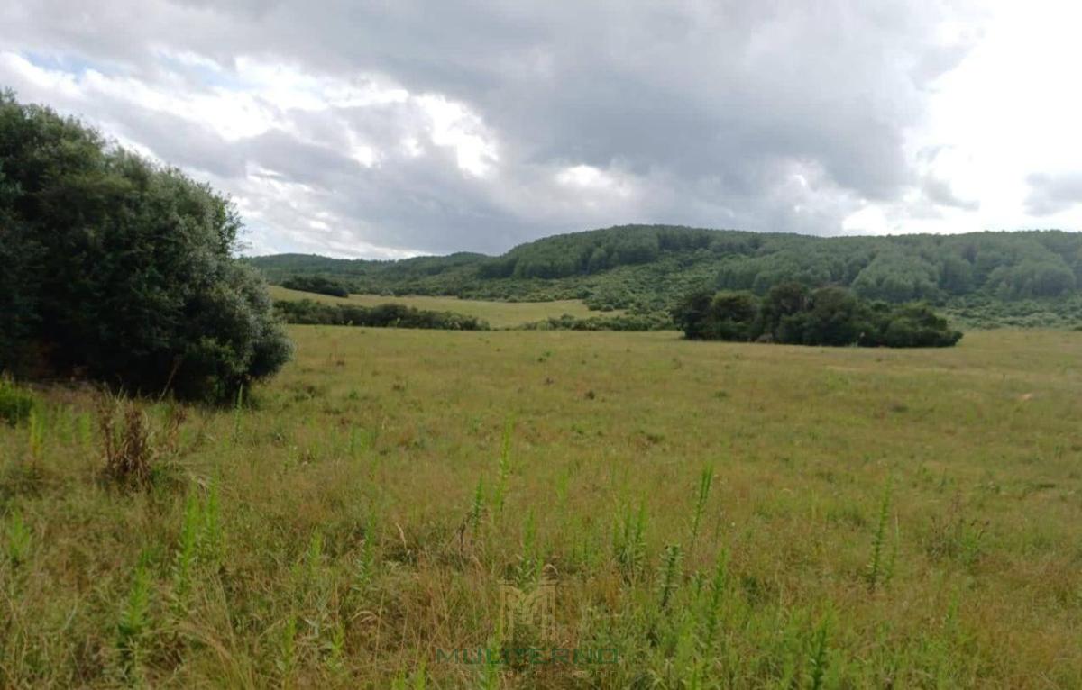 ÀREA Á VENDA EM LAVRAS DO SUL