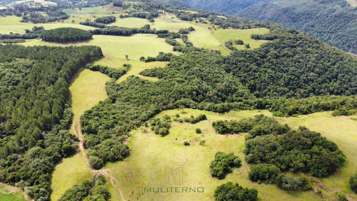 ÀREA Á VENDA EM BARRACÃO