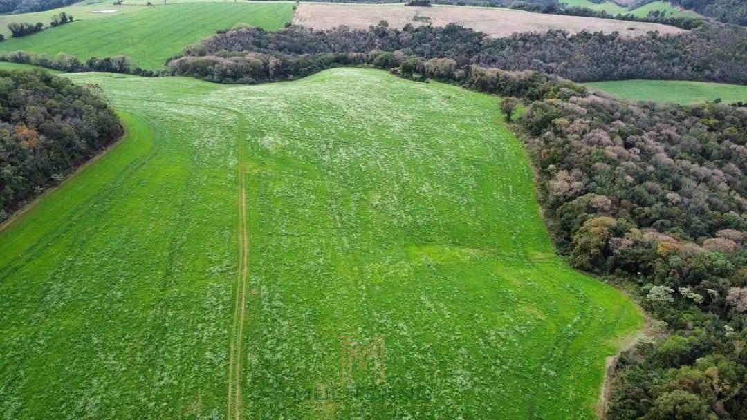 ÀREA Á VENDA EM CACIQUE DOBLE