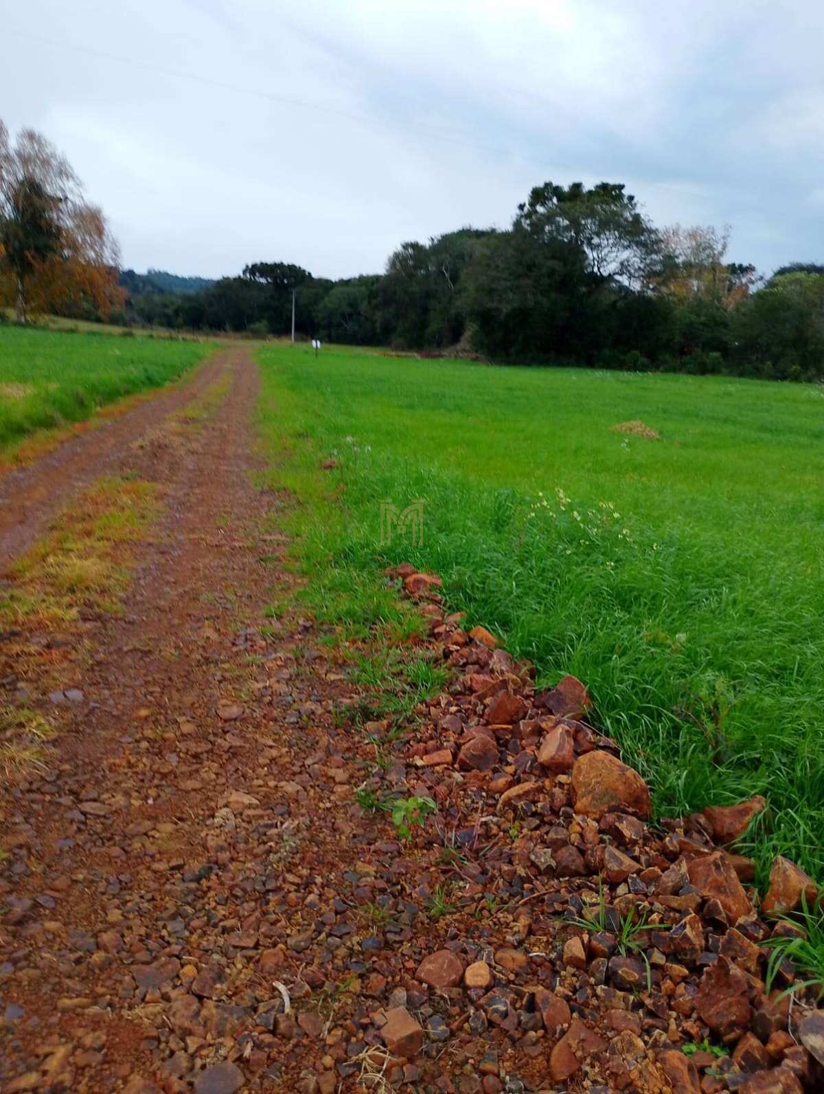Área à venda em Cacique Doble, interior, 7.9ha