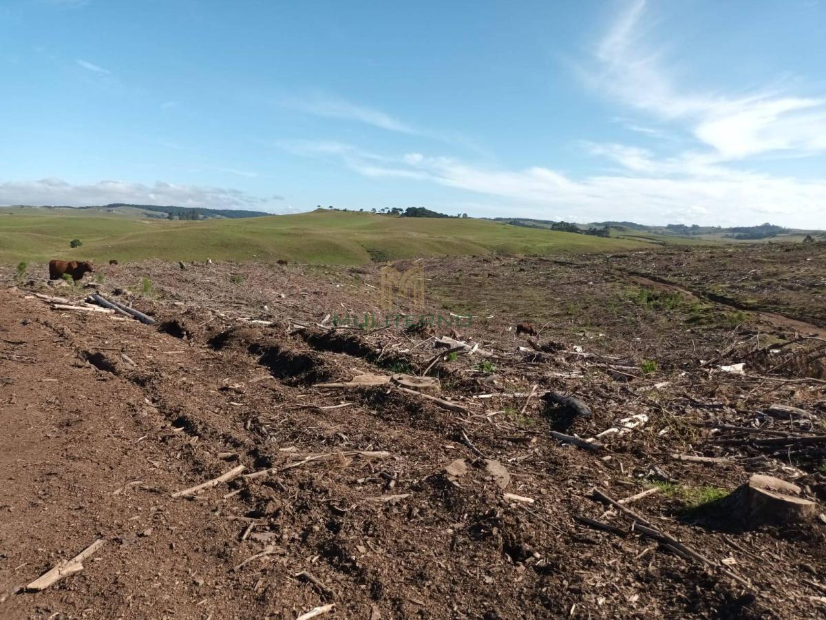 ÁREA Á VENDA EM CAMBARÁ DO SUL