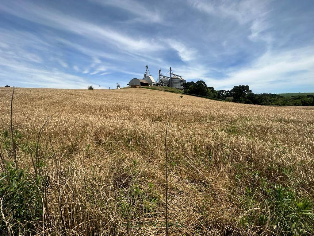 ÁREA À VENDA EM LAGOA VERMELHA/RS - Muliterno Assessoria em Imóveis  44.427.652/0001-82