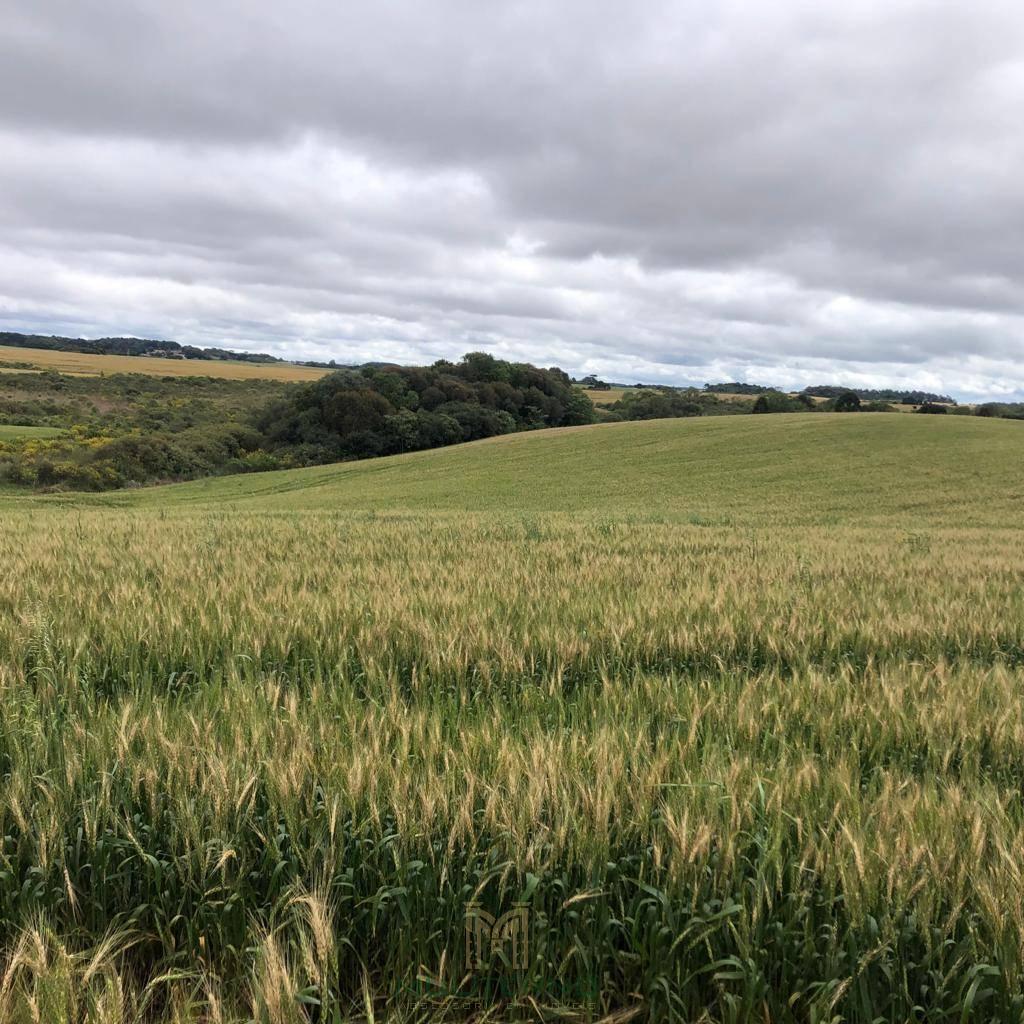 ÁREA À VENDA EM MULITERNO