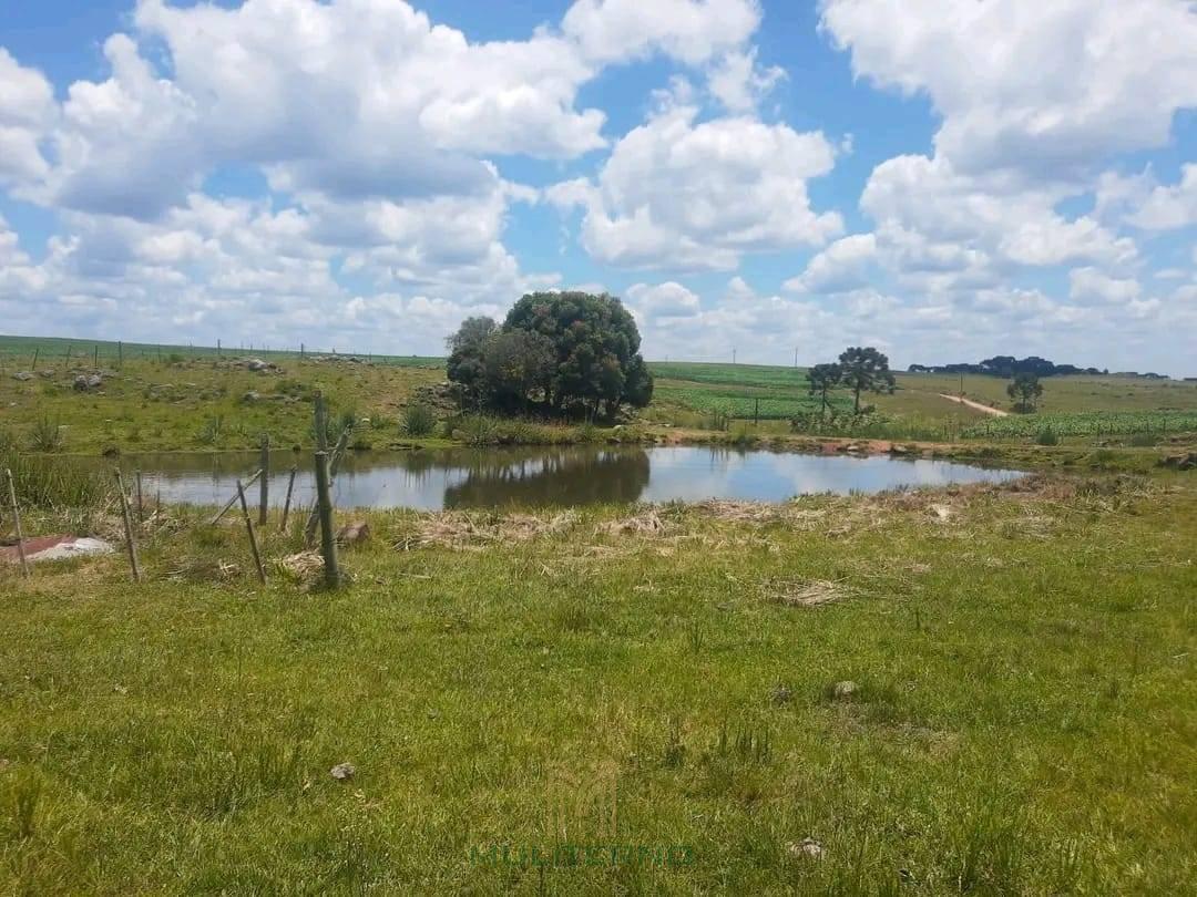 ÁREA À VENDA EM SÃO FRANCISCO DE PAULA