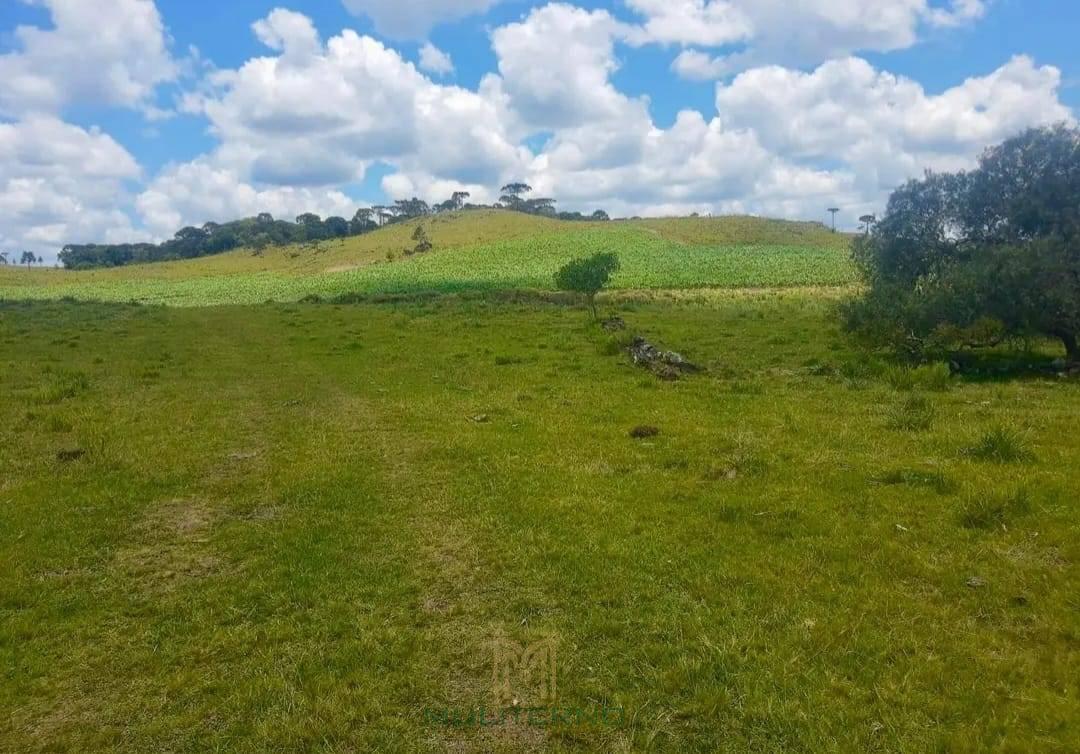 ÁREA Á VENDA EM SÃO FRANCISCO DE PAULA