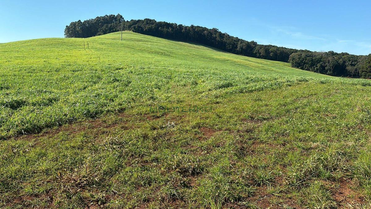 ÁREA À VENDA EM SÃO JOSÉ DO OURO