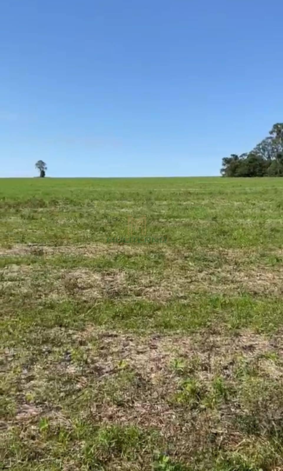 ÁREA À VENDA EM VICTOR GRAEFF