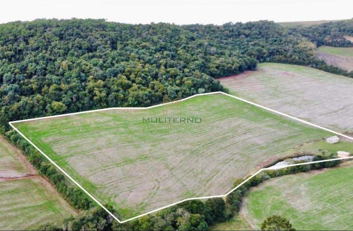 ÁREA À VENDA – EXCELENTE LOCALIZAÇÃO, CASA E LAVOURA PRONTA!