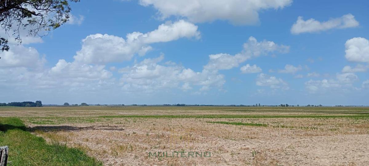 ÁREA À VENDA NO URUGUAI