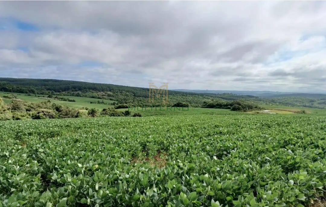 ÁREA COM ARRENDAMENTO À VENDA