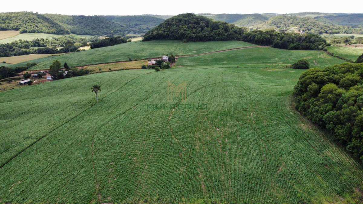 Área de Terra à Venda em Cacique Doble - Muliterno Assessoria em Imóveis  44.427.652/0001-82