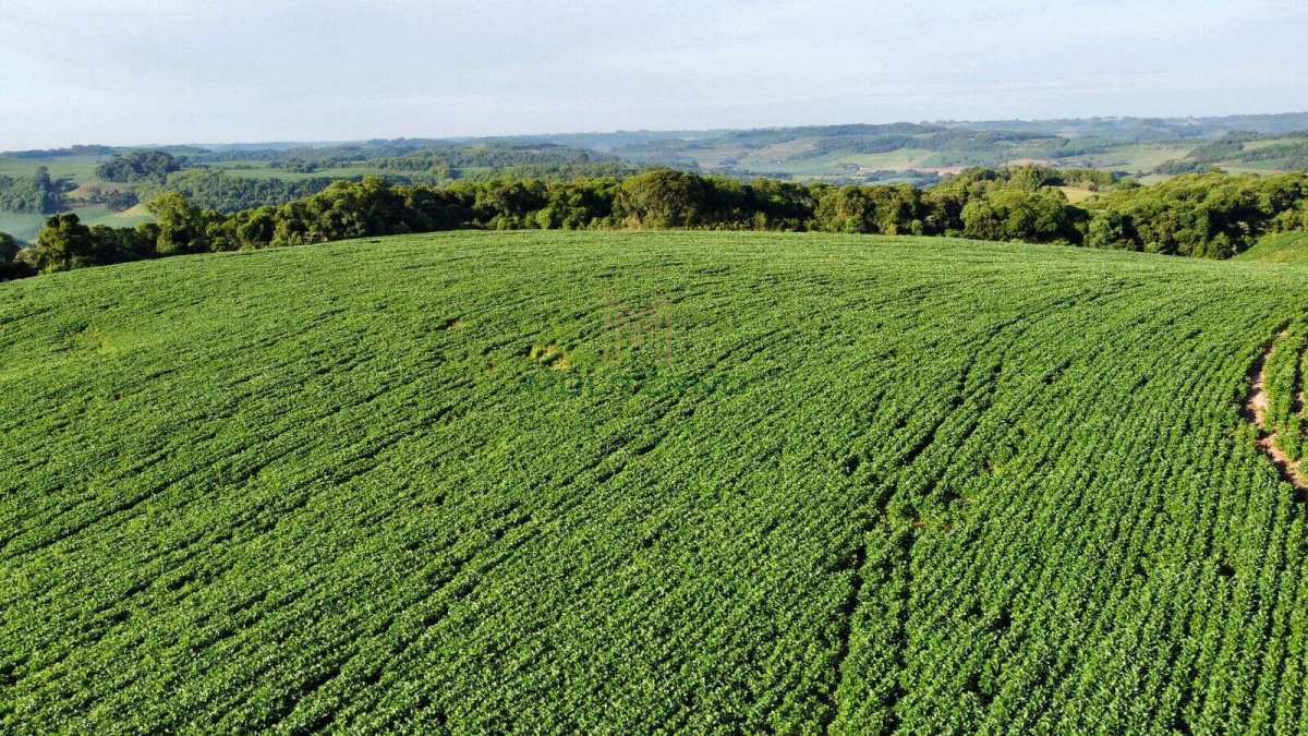 ÁREA DE TERRA Á VENDA EM TUPANCI DO SUL