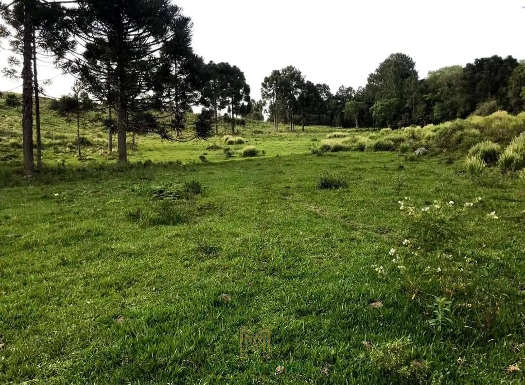 ÁREA PARA PECUÁRIA EM BARRACÃO/RS