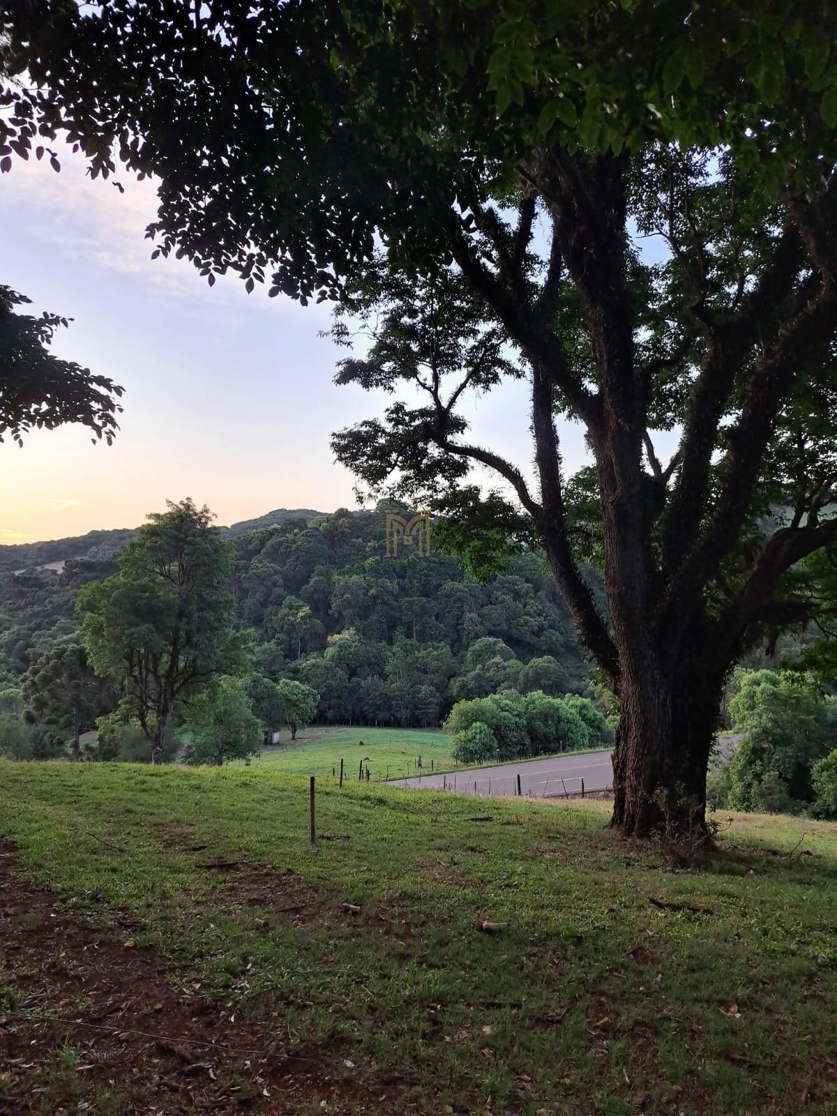 INVISTA NO FUTURO, INVISTA EM LOCALIZAÇÃO!!! - Muliterno Assessoria em Imóveis  44.427.652/0001-82