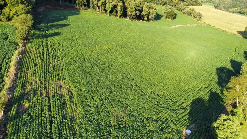 TERRENO À VENDA EM CACIQUE DOBLE/RS - Muliterno Assessoria em Imóveis  44.427.652/0001-82