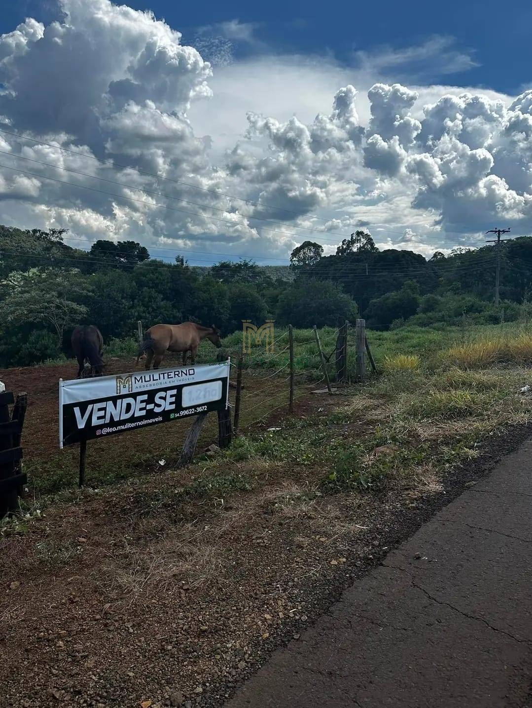 Terreno ideal para chácara às margens da RS-343, com infraestrutura completa